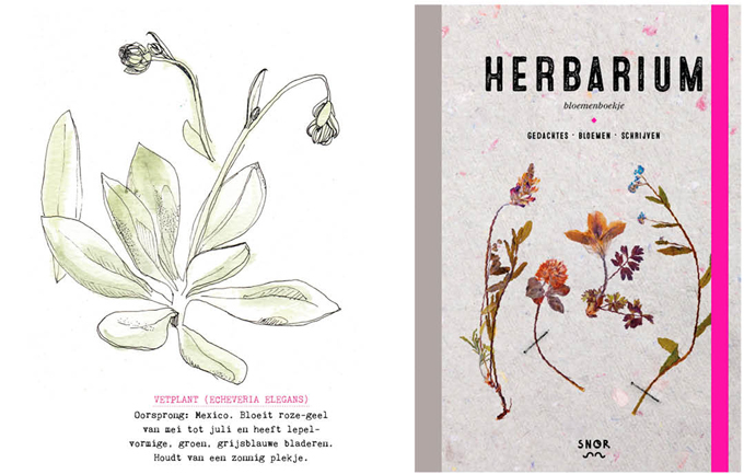 Snorfestival 2015 Herbarium