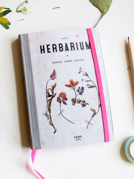 Maartje van den Noort : Pocket Herbarium