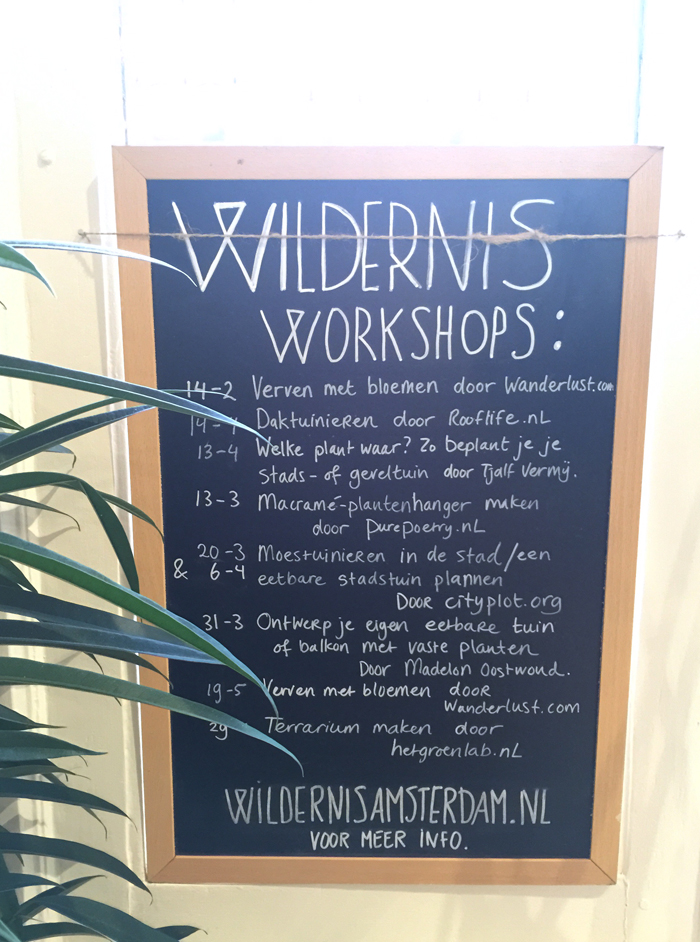 Wildernis Amsterdam Workshops