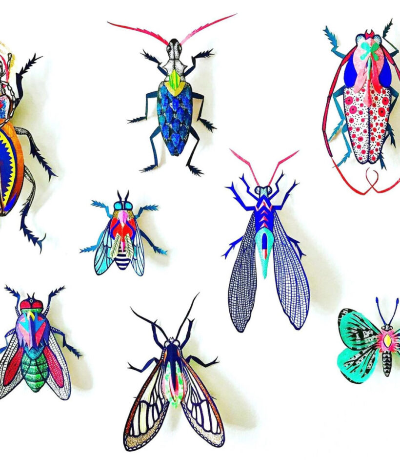 Insecten op hun mooist - Happy Makers Blog